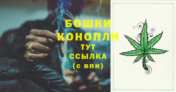 молекула духа Киренск