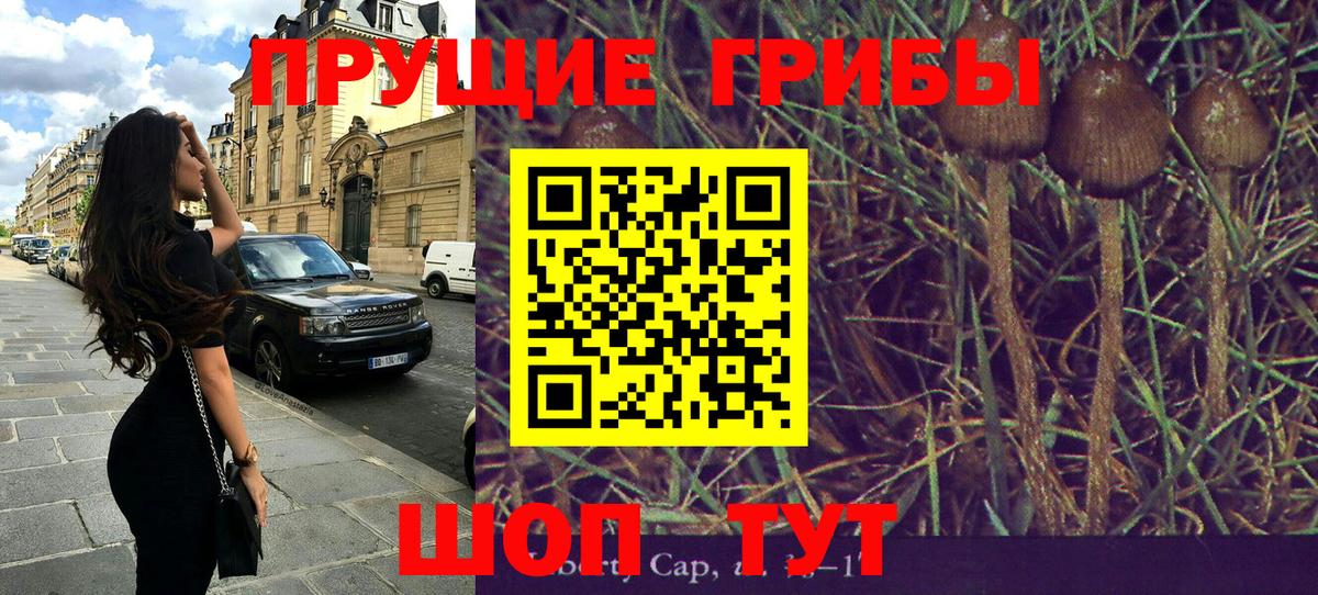 Галлюциногенные грибы прущие грибы  Вход с VPN  Люберцы 